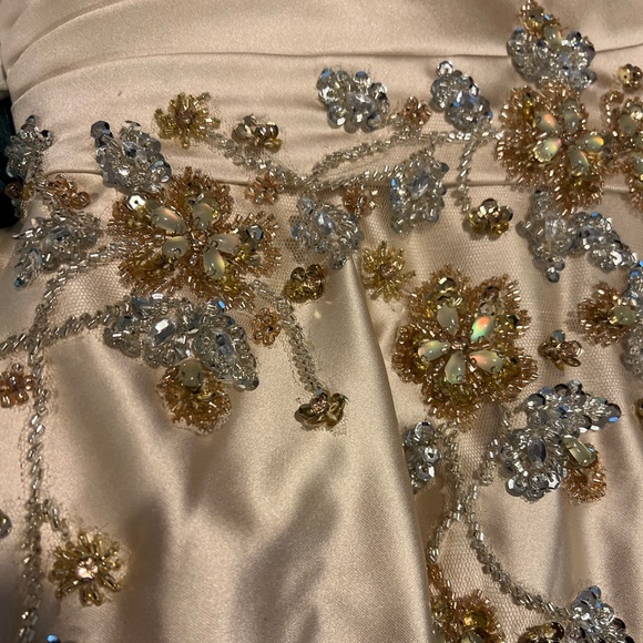 Gorgeous ball gown with pockets, beaded bodice and intricate design. Size 6 - Picture 10 of 12